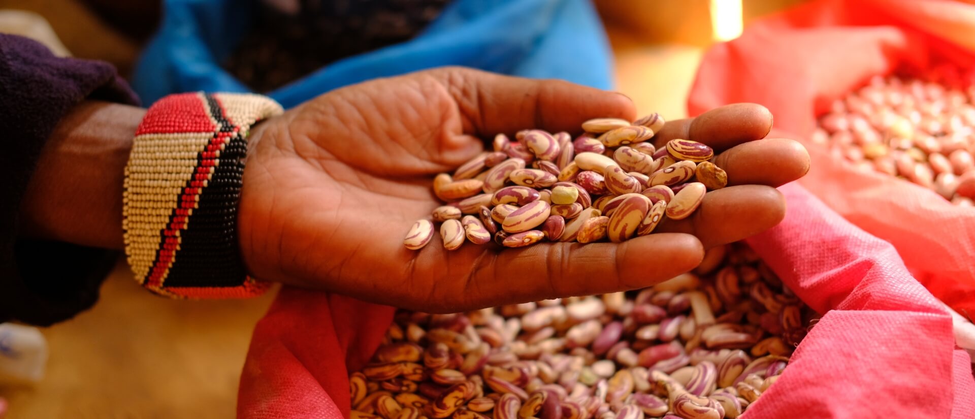 Eine Hand hält Hülsenfrüchte, die aus den mit ihnen gefüllten Säcken darunter geschöpft worden sind.