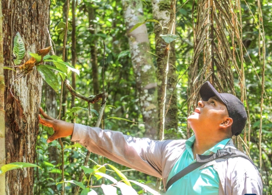 Schenken wirkt: Spende verschenken und doppelt Freude bereiten!