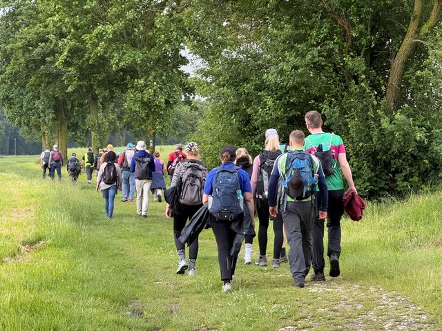 Eine Gruppe von Personen läuft mit Rücksäcken auf dem Rücken über einen grasigen Weg, umgeben von Bäumen..