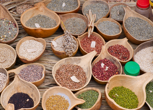 Schenken wirkt.: Saatgut für Familien in Kenia