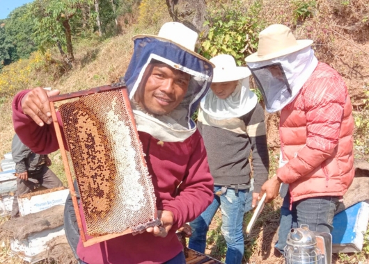 Nepal: Organischer Anbau stärkt Mensch und Natur