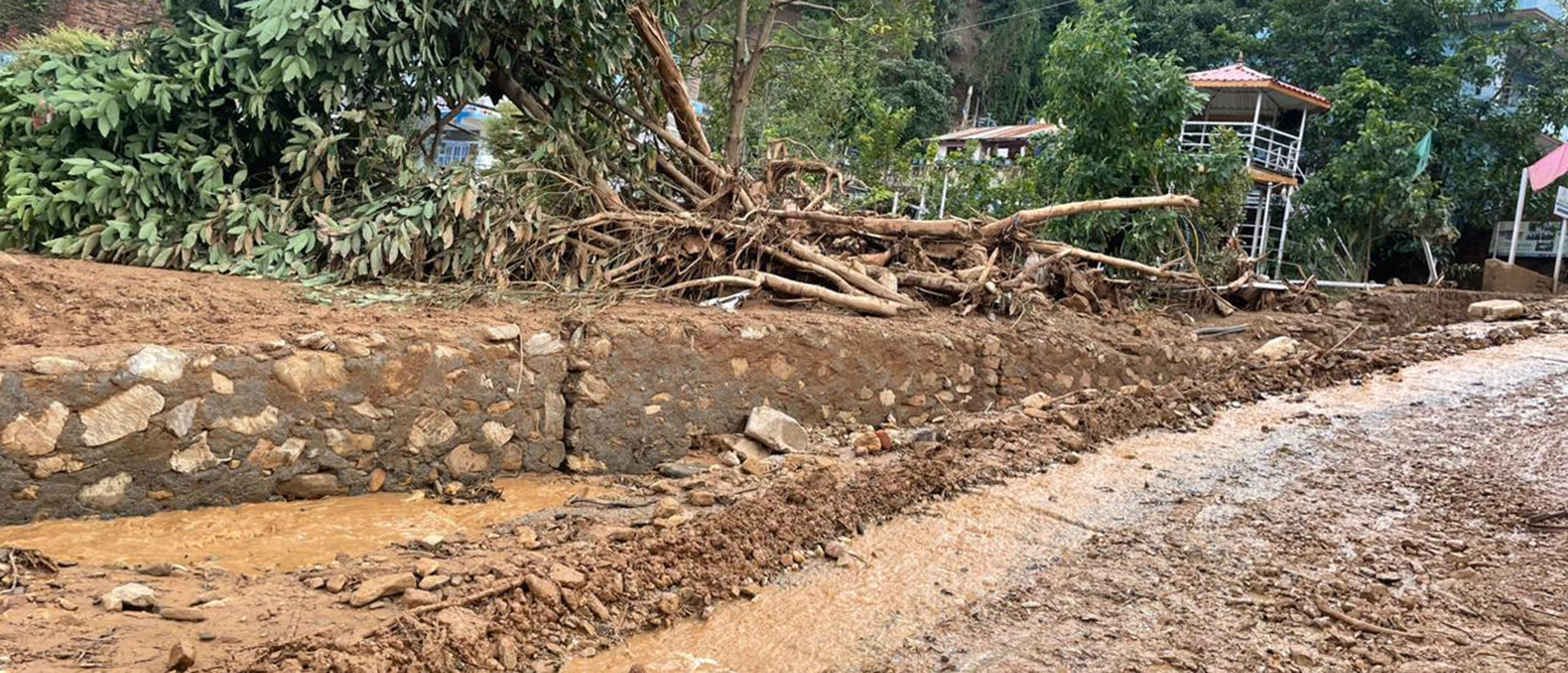 Das Bild zeigt eine durch Schlammmassen und umgestürzte Bäume verwüstete Straße.