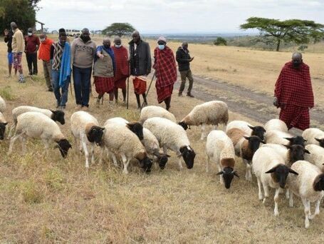 #GLSchenkt: Wir wandern für ein besseres Wir!
