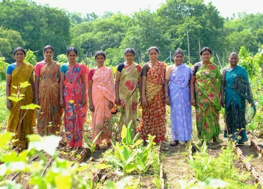 Indien: Solidarische Landwirtschaft