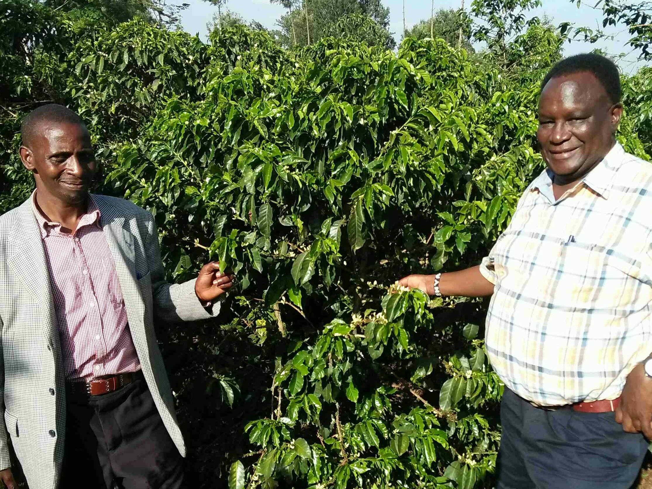 Kurzfilm: RODIs Arbeit mit Strafgefangenen