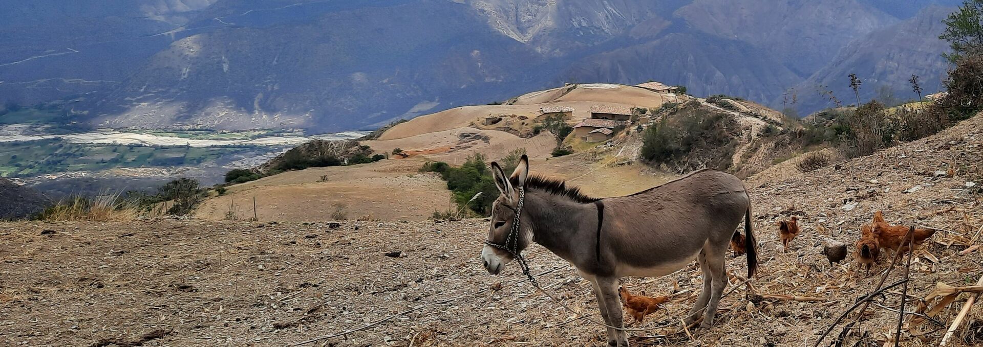 Ein Bergpanorama in Peru