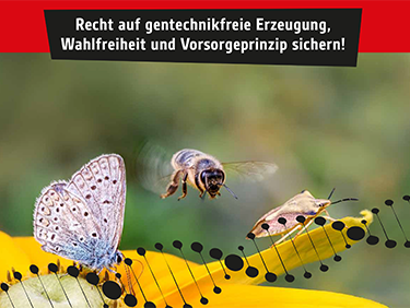 Keine Deregulierung neuer Gentechnik-Verfahren!