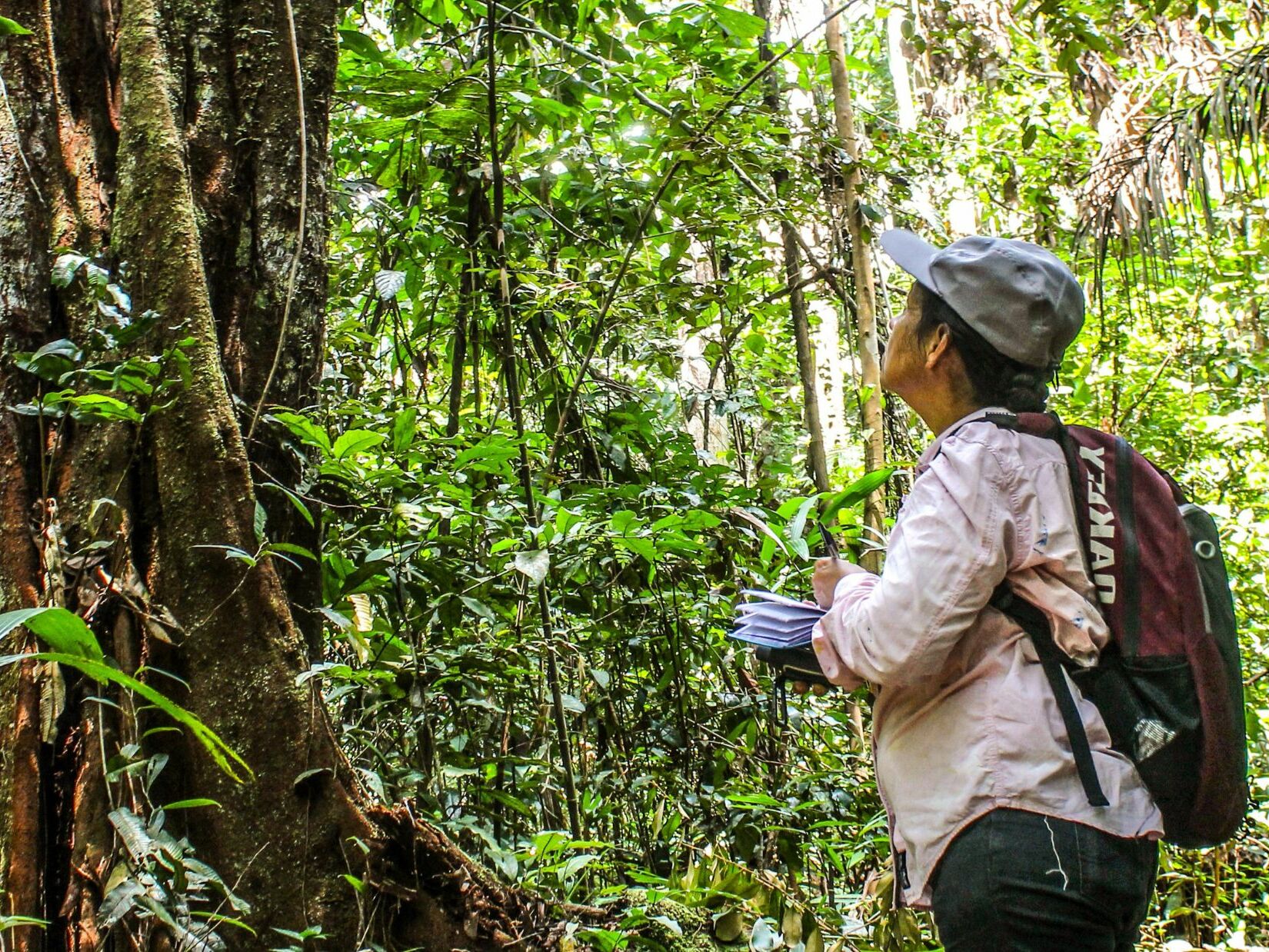 Die gute Nachricht – Naturschutzzone im Amazonas Perus nimmt wichtige Hürde