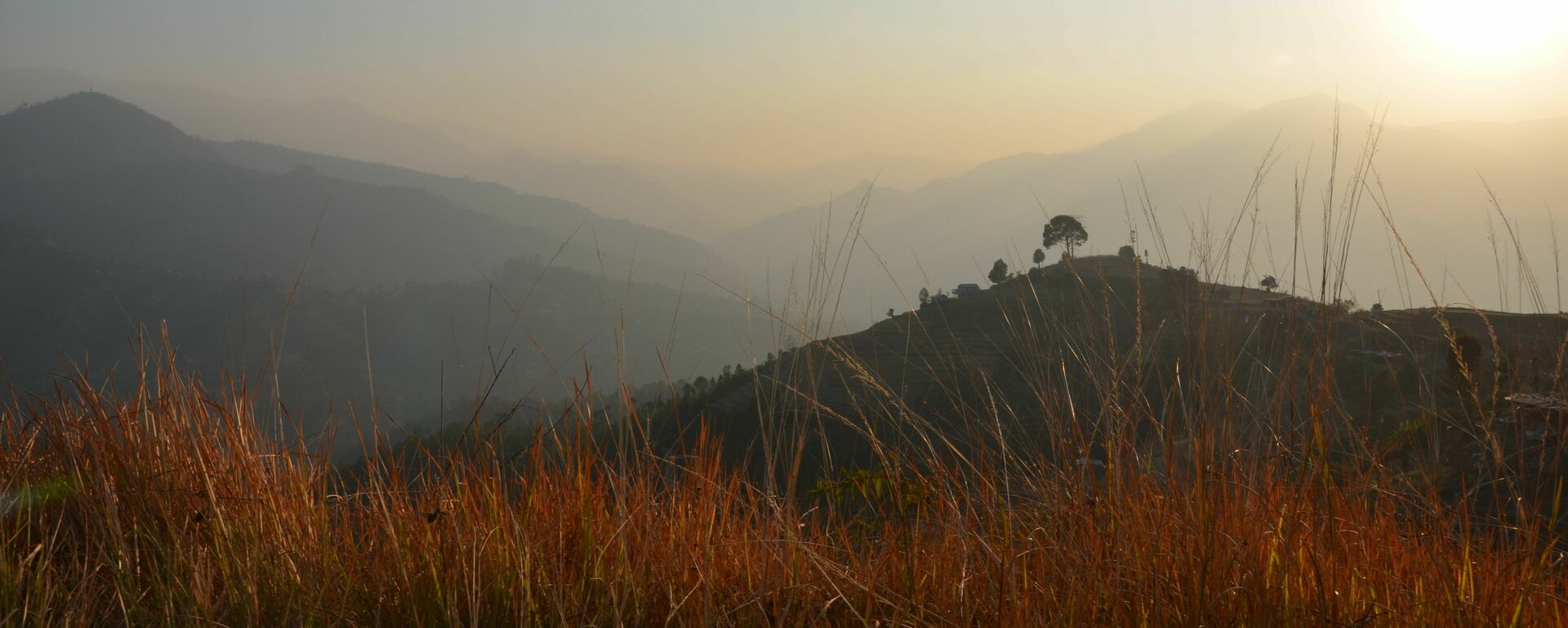 Das Foto zeigt eine Berglandschaft im Süden Nepals. Hohe Gräser stehen im Vordergrund