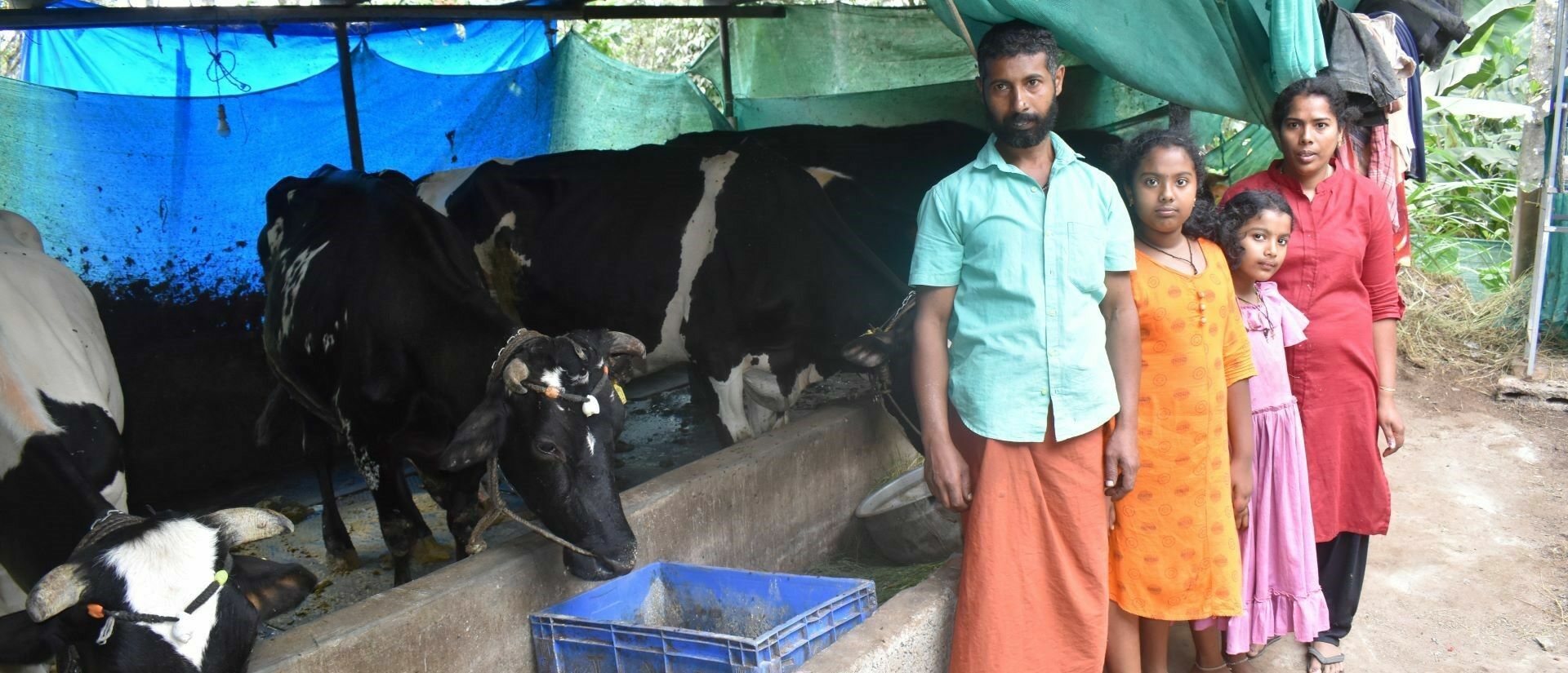 Eine vierköpfige indische Familie steht neben ihren Kühen.