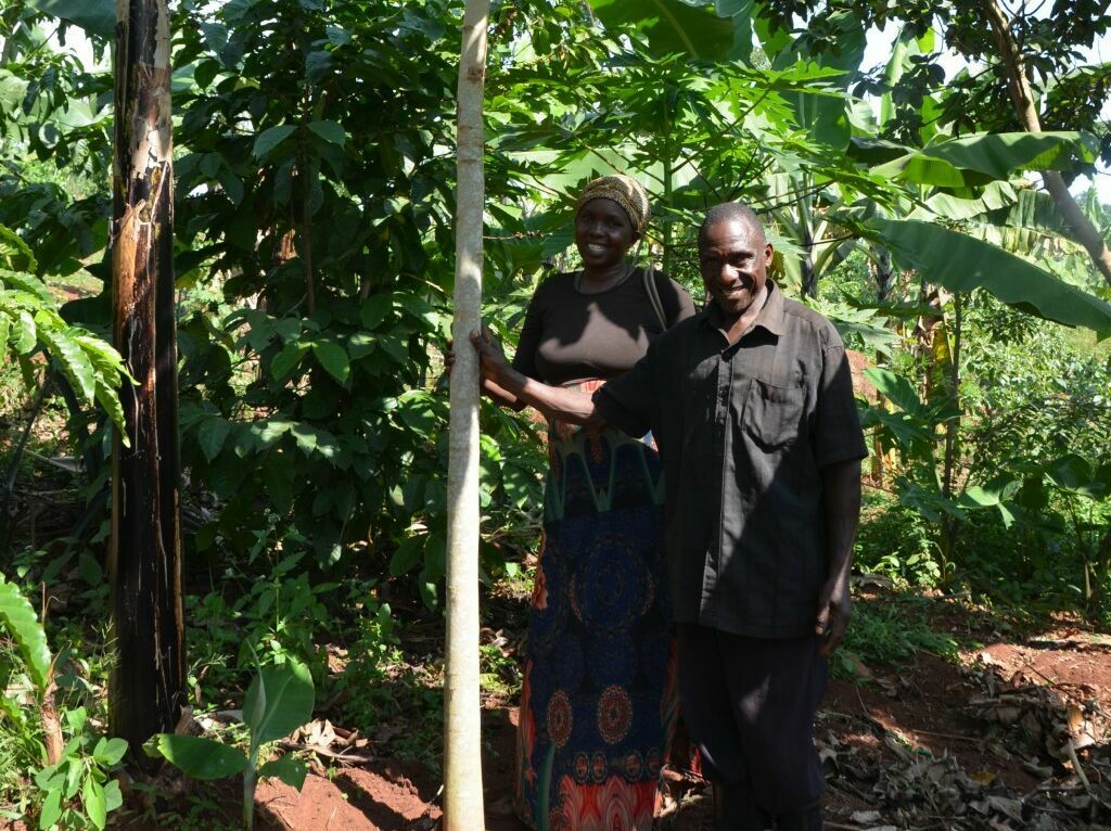 Uganda: Fonds für Landrechte