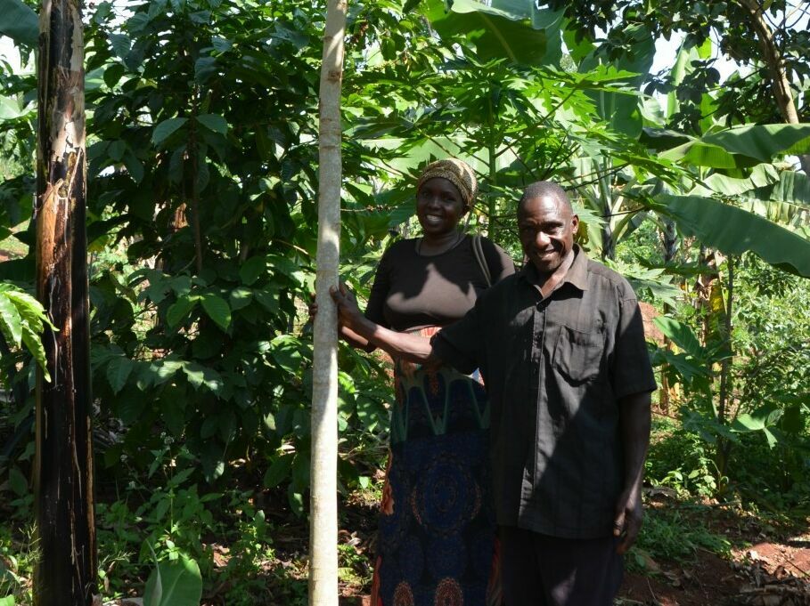 Uganda: Fonds für Landrechte