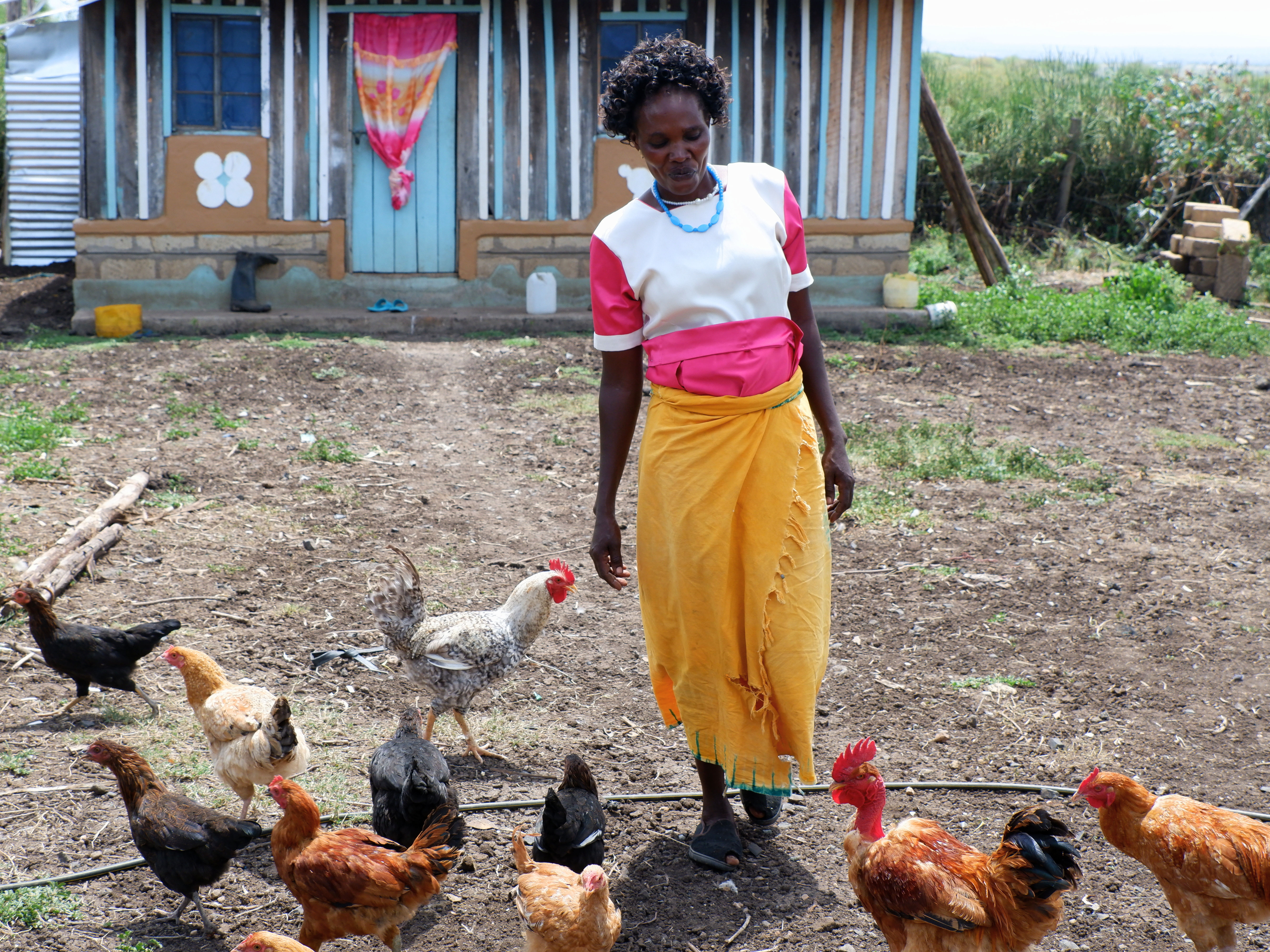 Kenia: Dürre und Nahrungsmittelknappheit