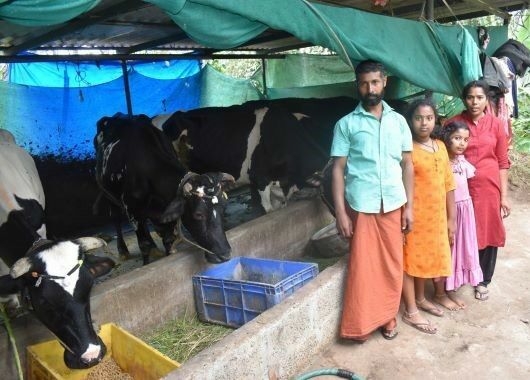 Eine vierköpfige indische Familie steht neben ihren Kühen.