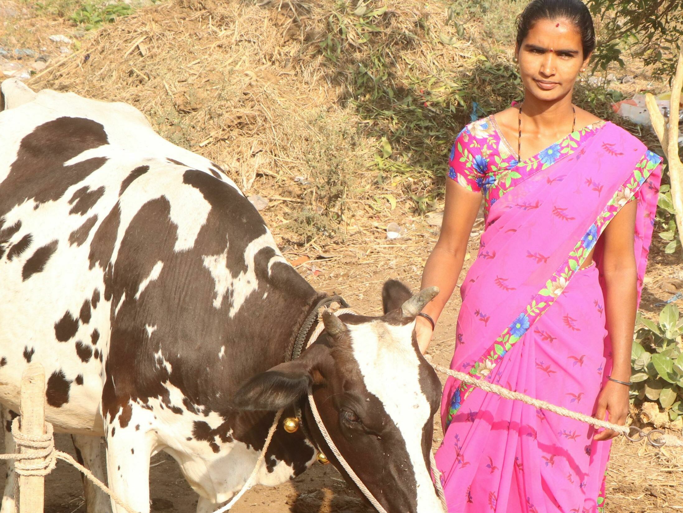 Indien: Frauenpower, Kühe und Nachhilfe