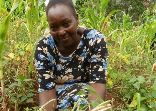 Eine Frau hockt in einem Nutzgarten. Hinter ihr sind Maispflanzen. Vor ihr sind reife Bohnen sichtbar.