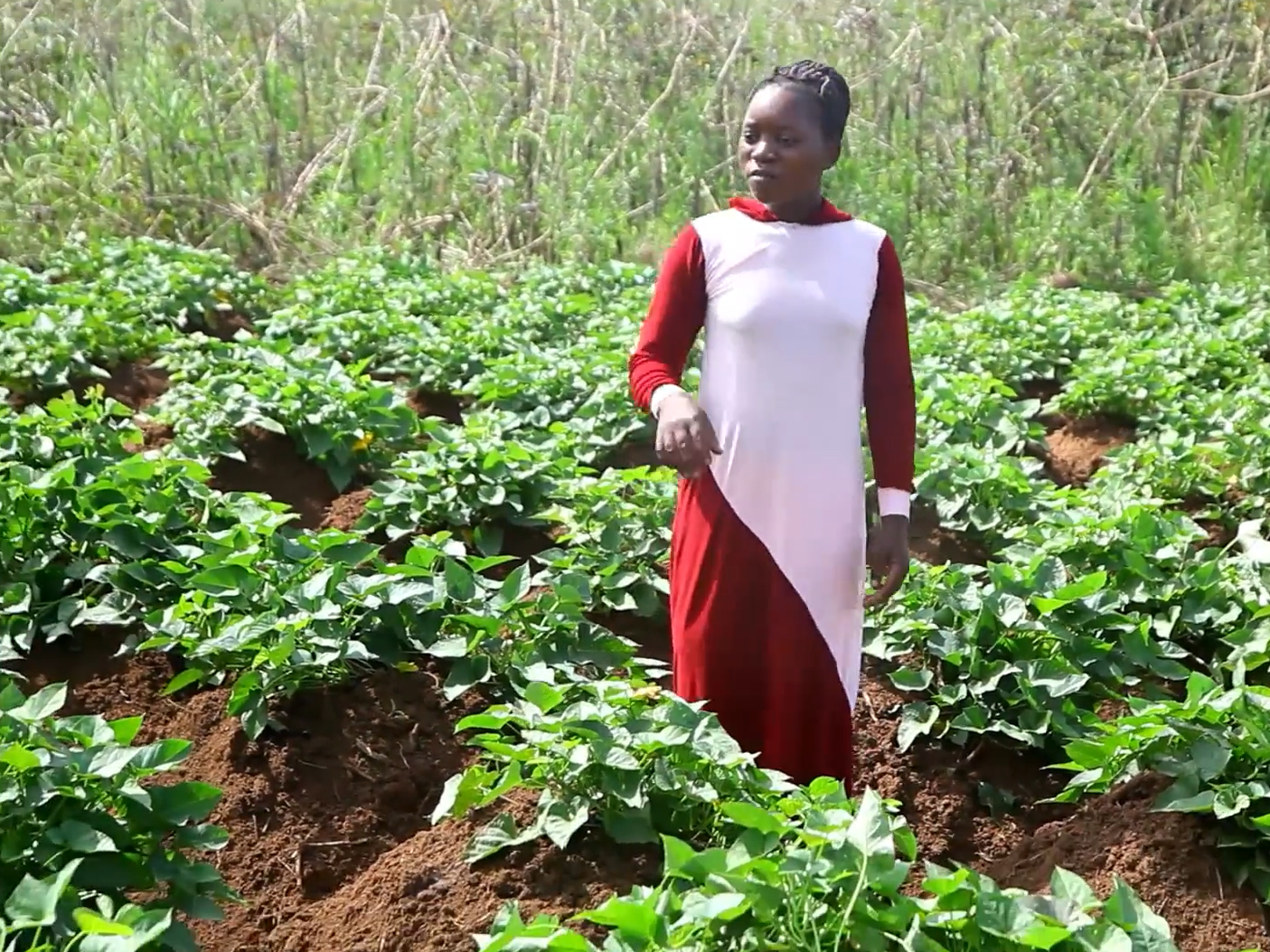 Uganda: Wie der organische Landbau Leben verändert